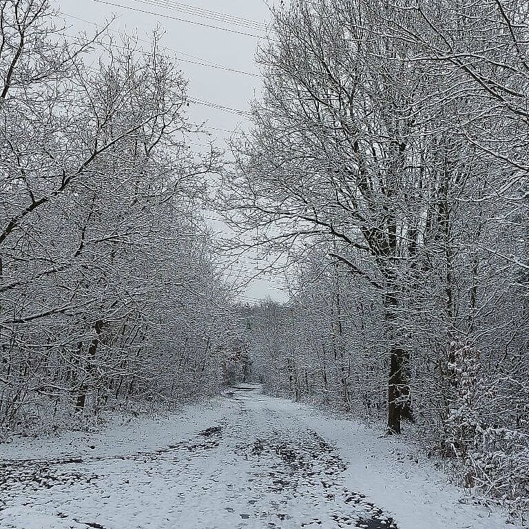 KW05-26_hz03_Vennekenhof