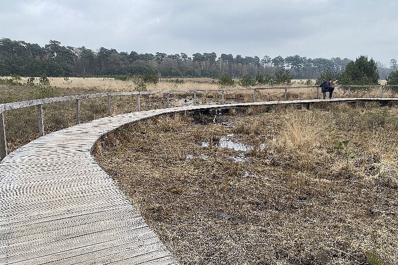 KW14-26_Mehrhoog_wb04 KW14-26_Mehrhoog_wb04