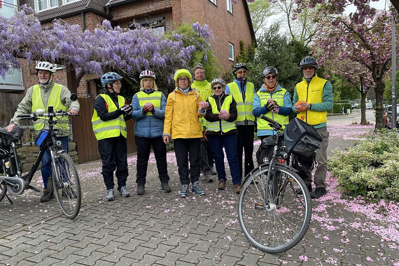 KW16-25_wb11_Kirschbluete_in_Gladbeck