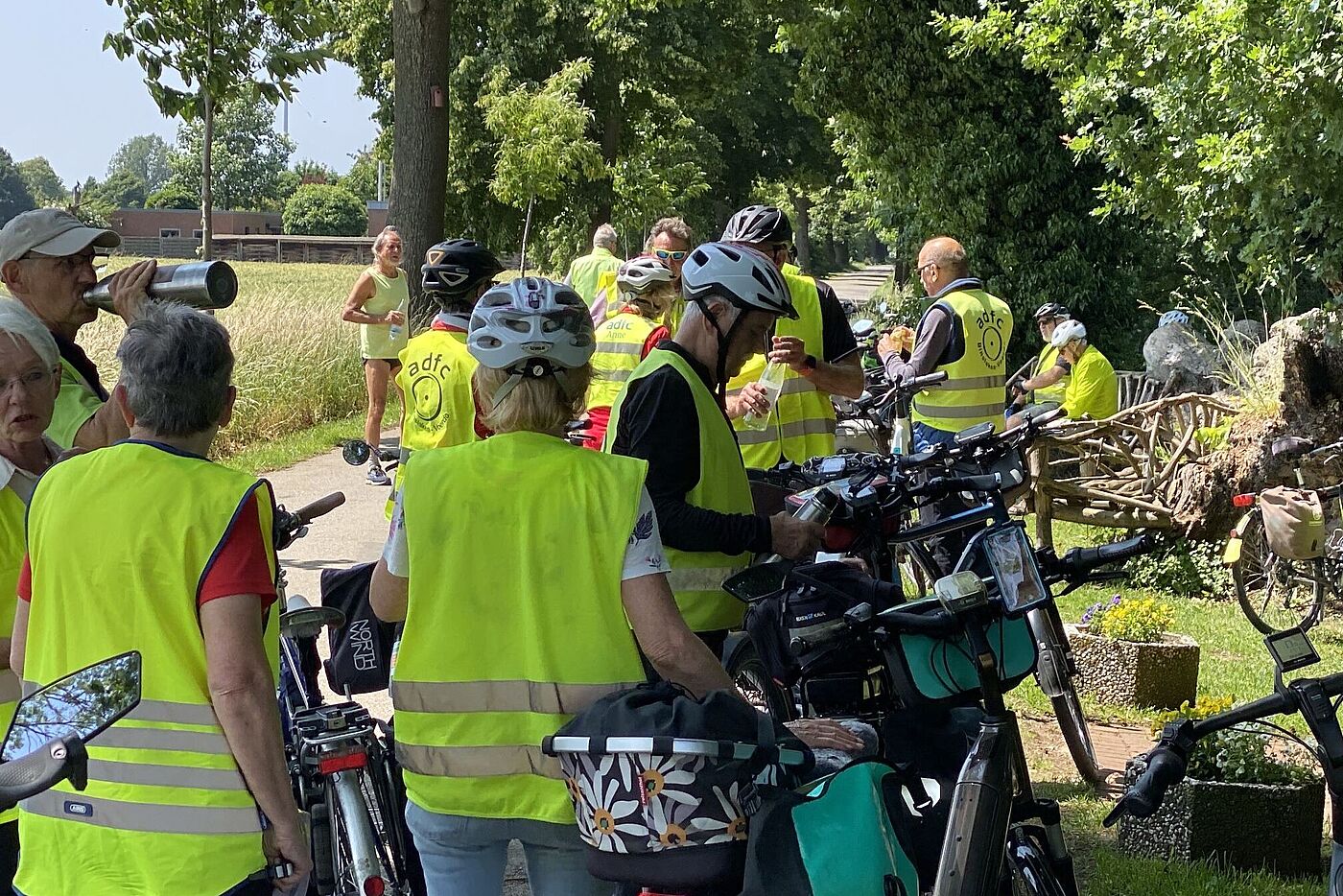KW24-25_wb18_Winterlinde_Wertherbruch