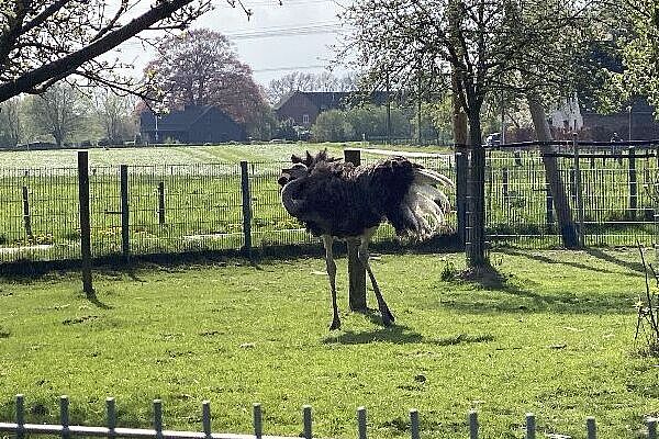 KW16-26_Dinxperlo_wb20