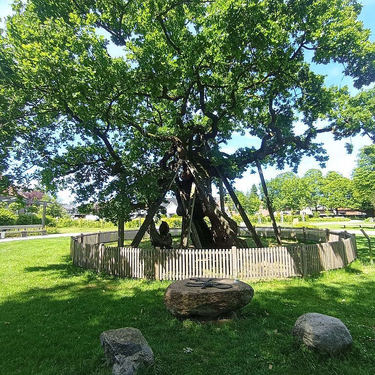 KW22-26_Venneken-Hof_ws01