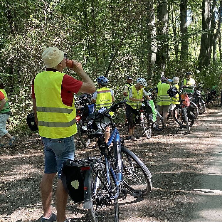 KW33-26_Halde_Hoheward_wb05