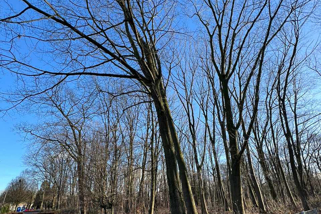 Nix als Blau am Himmel