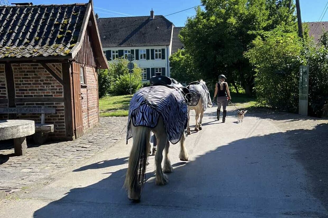 Landromantik pur