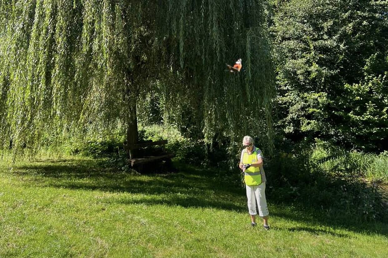 Alte Bäume und junges Radlermädel