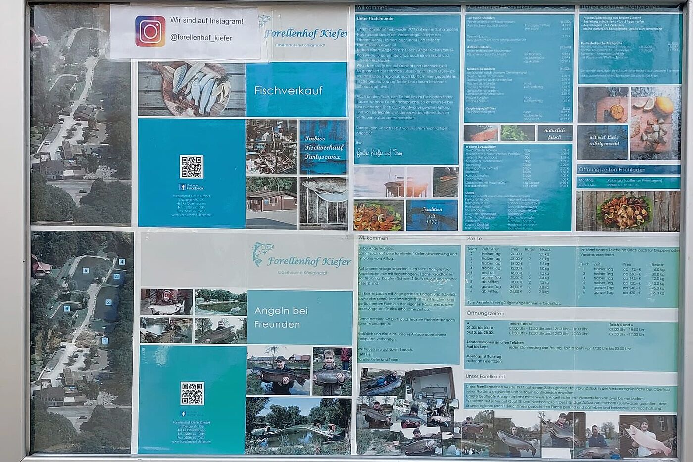 KW10-25_HZ02_Forellenhof_Kiefer