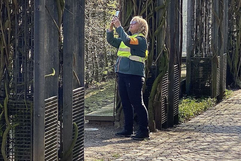 KW12-26_Kloster-Kamp_wb23