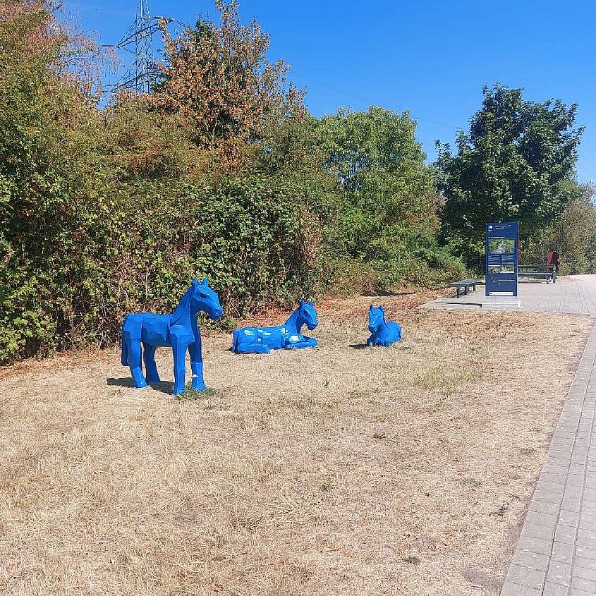 KW33-26_Halde_Hoheward_hz20.