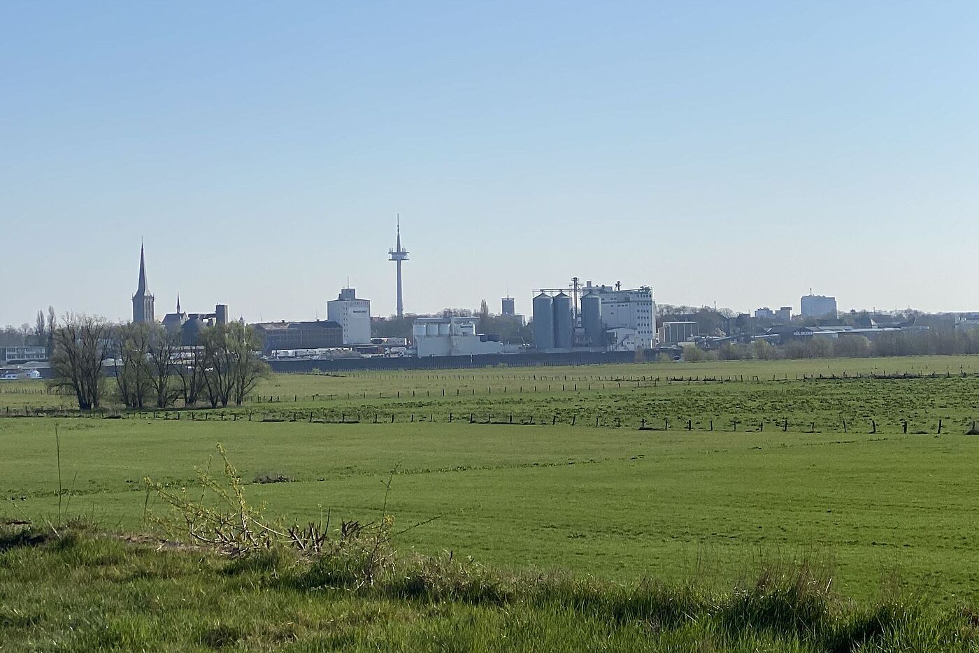 KW14-25_wb02_Rees