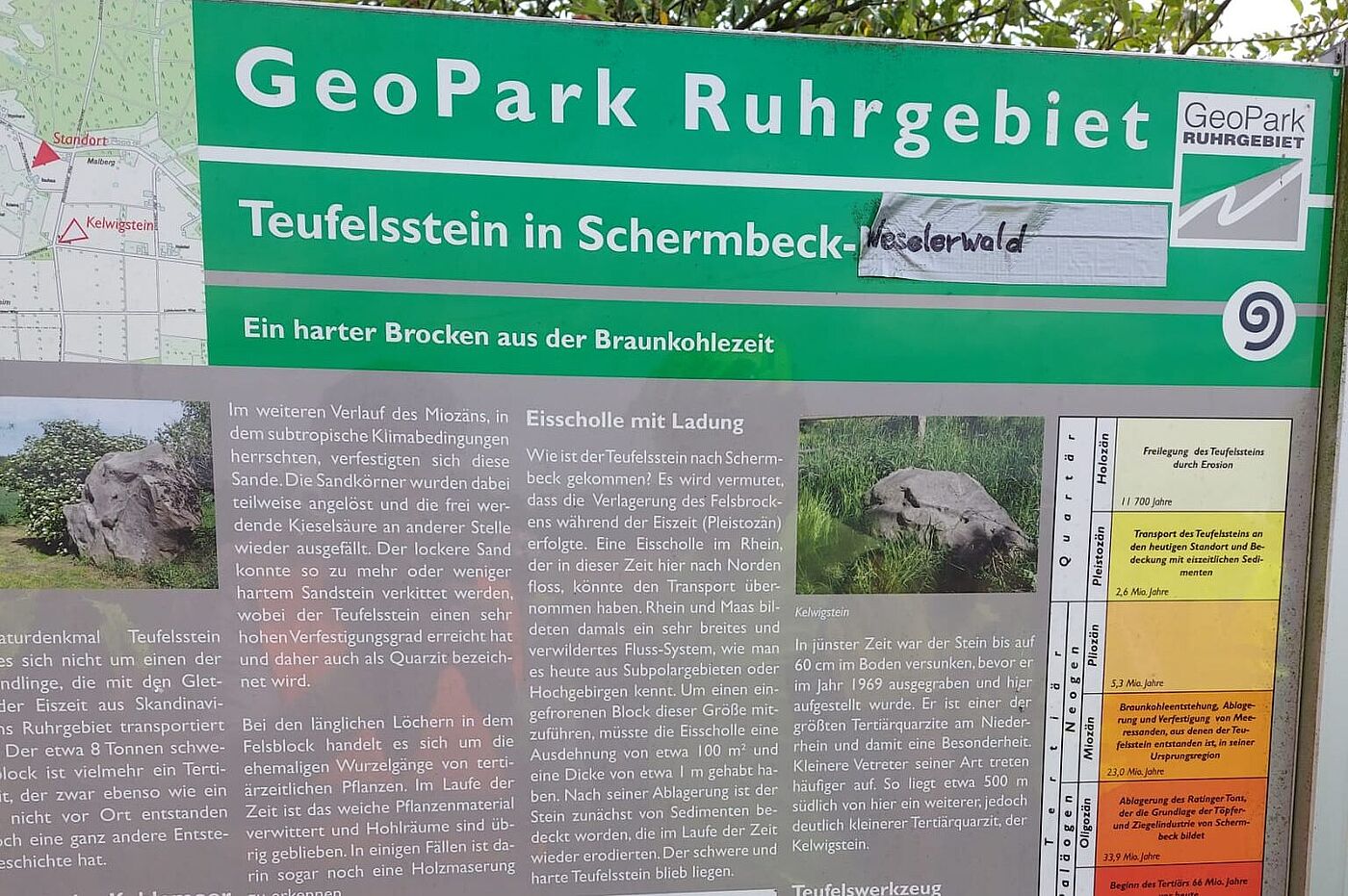 KW29-25_hr10_Tesings-Hof_und_Luelerheim