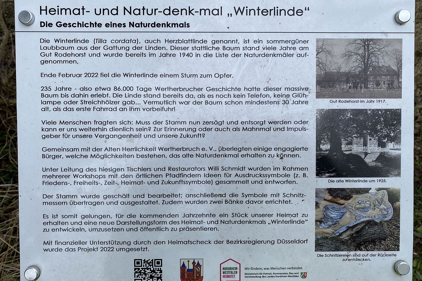 Lesen bildet