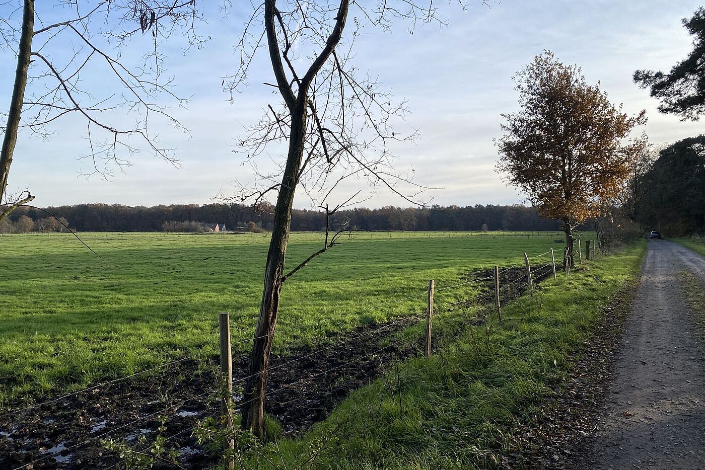 KW47-24 WB15 Rhede-Drageefabrik