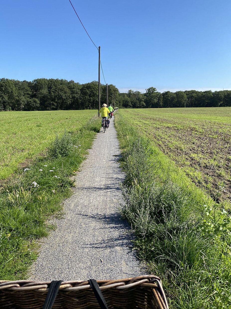 KW32 Erle 01 Wie an der Schur gezogen! Wie an der Schur gezogen fahre 19 Radler durch die Felder