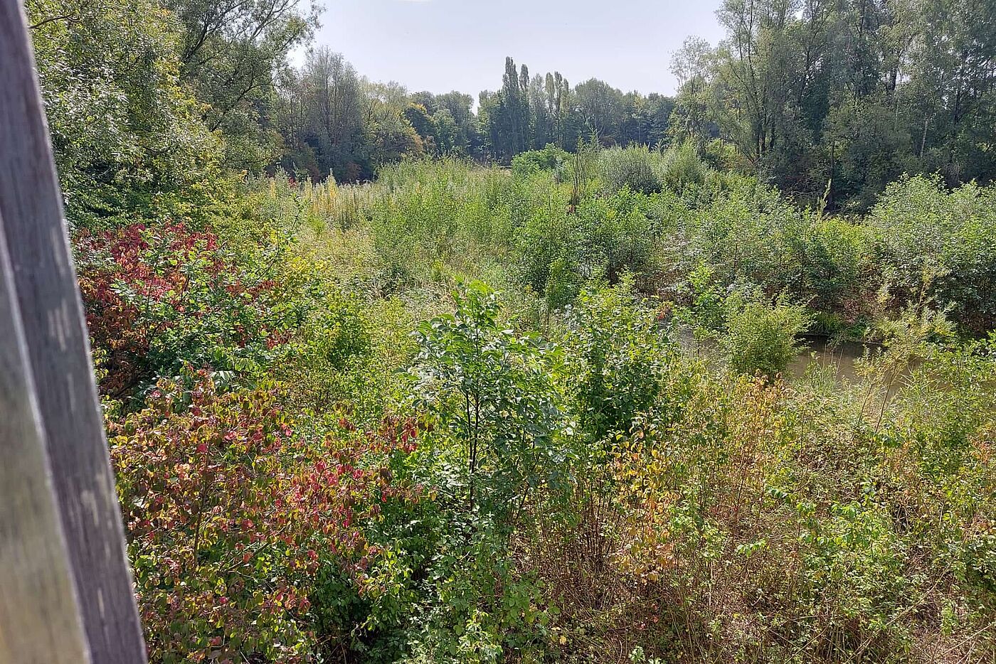 KW33-25_hr04_Kettwig_Baldeneysee