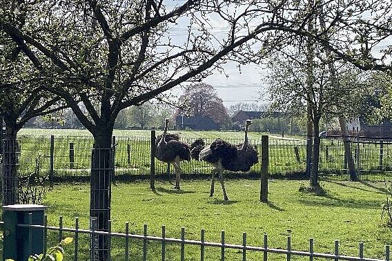 KW16-26_Dinxperlo_wb21