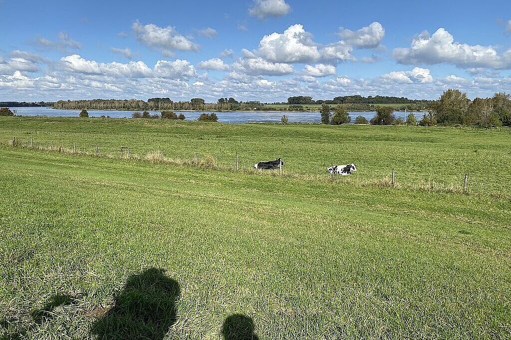 KW40-24 17 Auenland - Den Rhein erfahren
