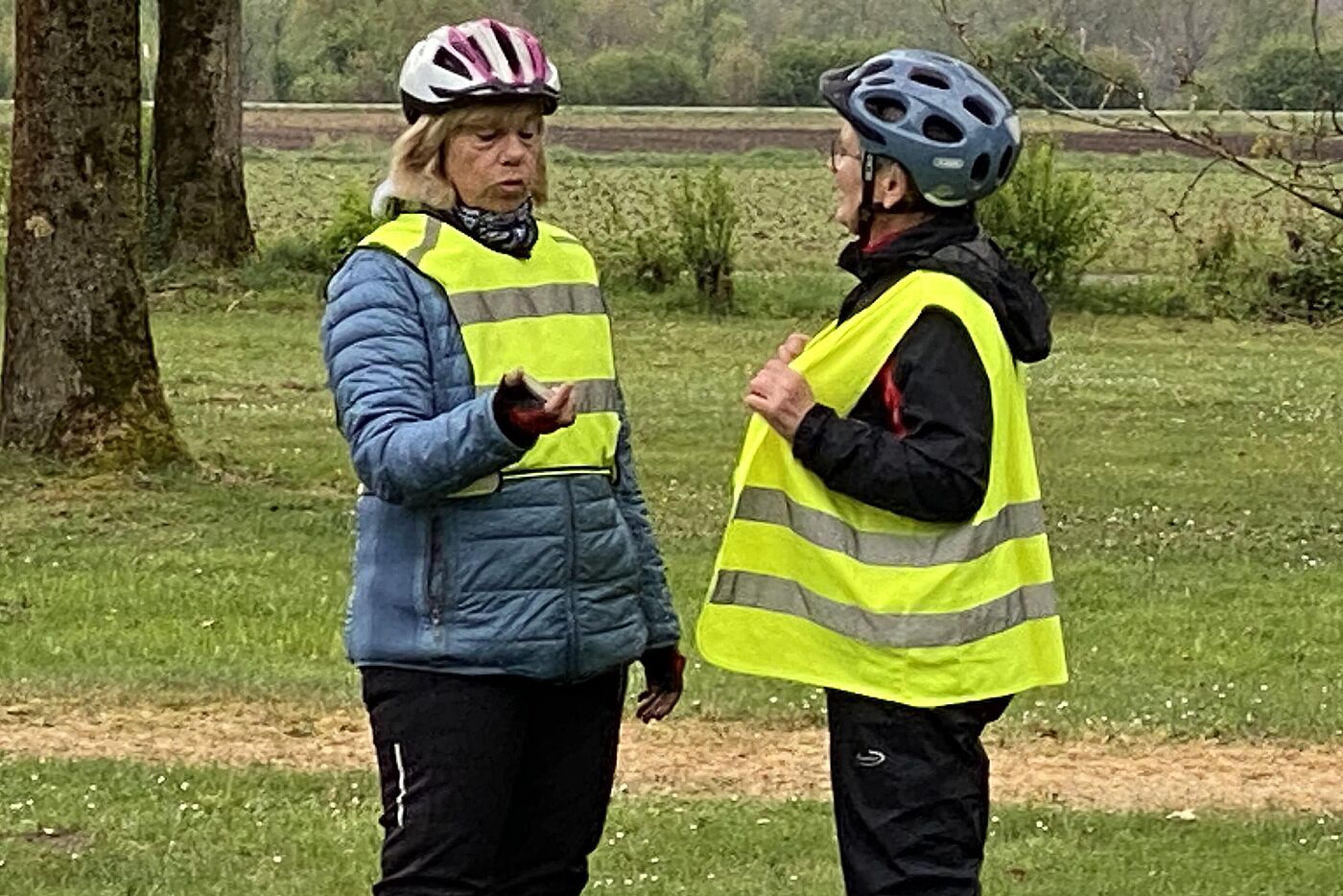 KW16-25_wb07_Kirschbluete_in_Gladbeck