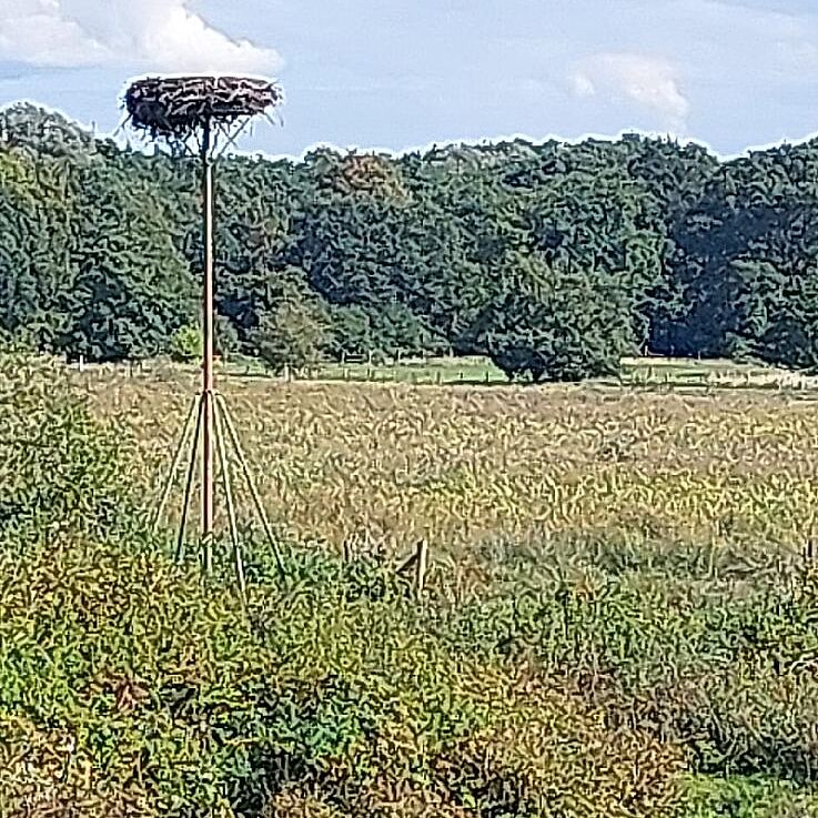 KW37-26_Kuchen-Stopp_im_Hofcafe_Belustedde_hz01