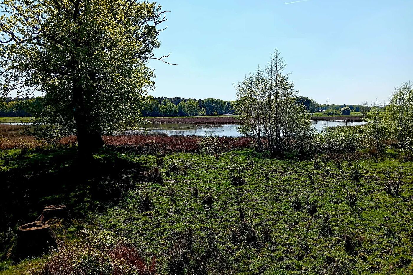 KW18-25_ab05_Dorsten_Storchentour