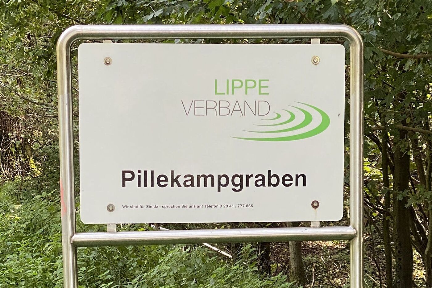 Am Wegesrand gesehen