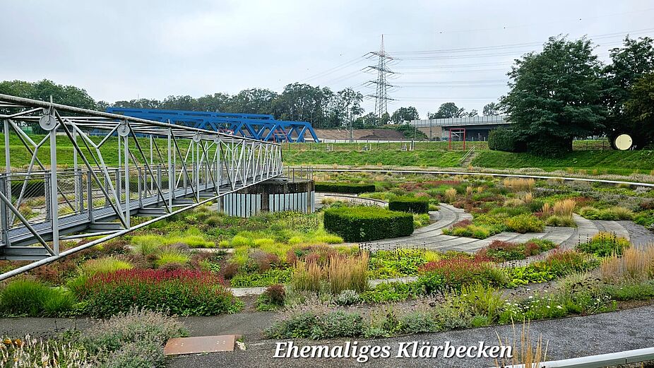 Das Gräserbeet im Bernepark Das Gräserbeet im Bernepark