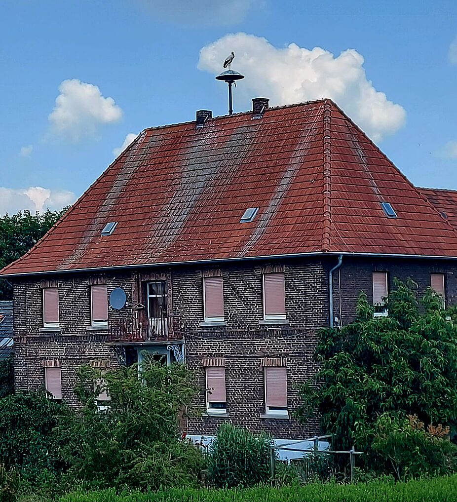 Besser den Storch auf dem Dach als Feuer darunter. Ein freistehendes Gebäude mit einer Sirene auf dem Dach. Darauf sitzt ein Storch.