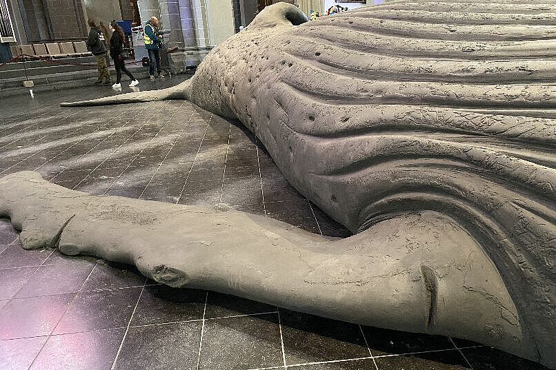 KW11-26_Xanten-Wal_wb12