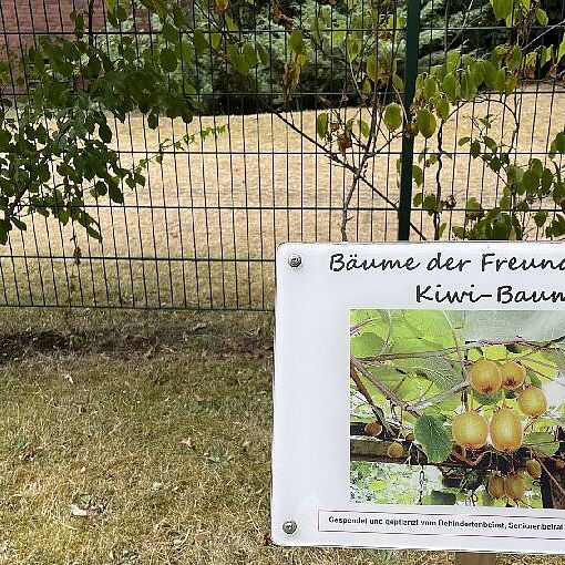 KW29-26_Gladbeck_mit_Kneipp-Garten_hdh07 KW29-26_Gladbeck_mit_Kneipp-Garten_hdh07