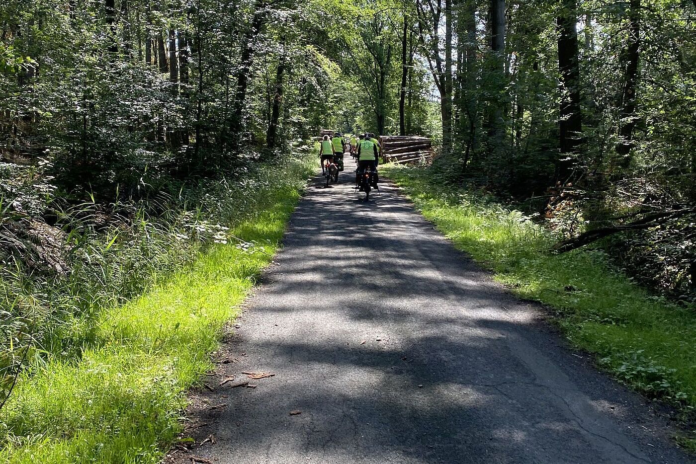 Durch Wälder und Fluren ging es voran D