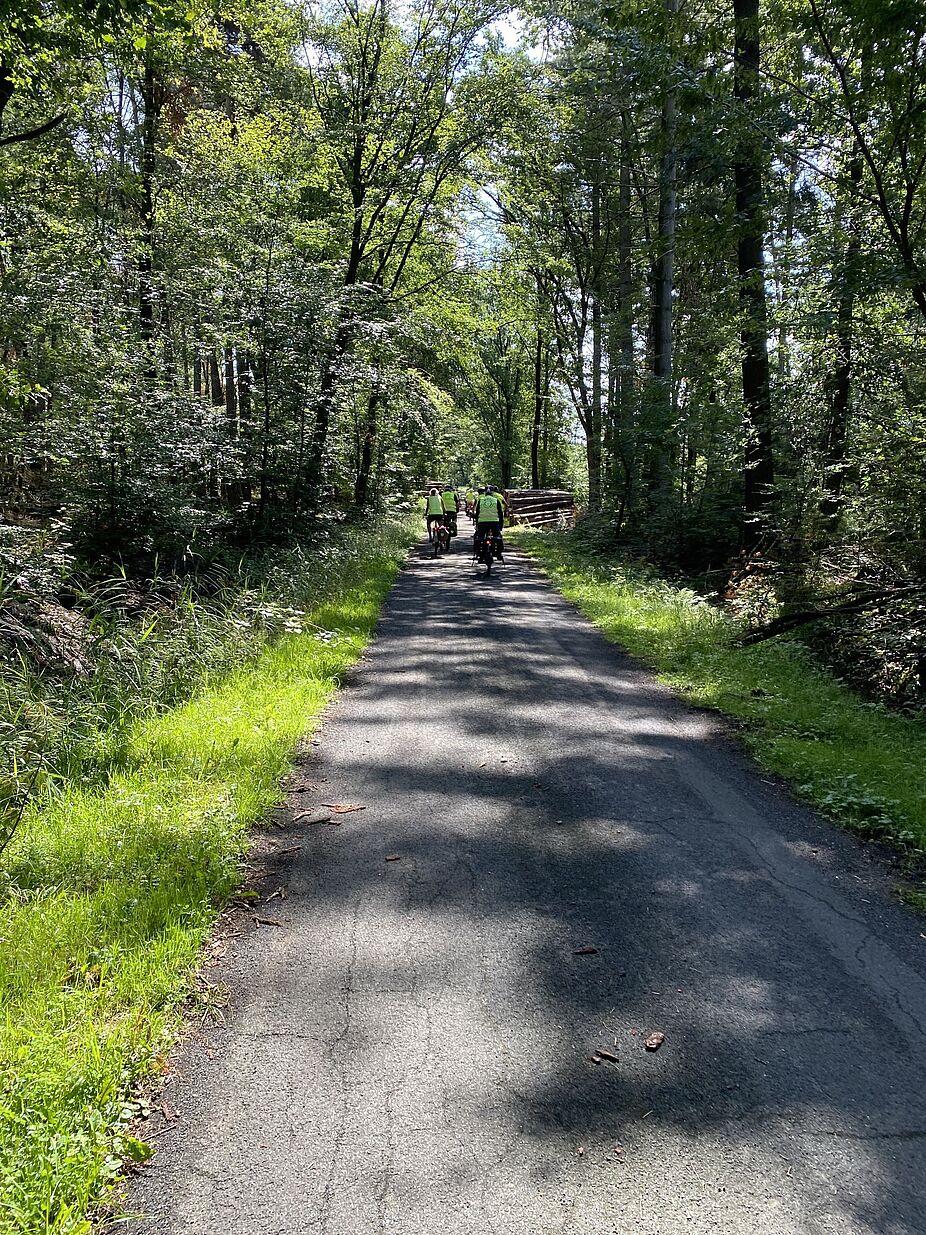 KW29 Wulfen 06 Durch Wälder und Fluren ging es voran D Durch Wälder und Fluren ging es voran D