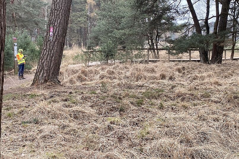 KW14-26_Mehrhoog_wb11 KW14-26_Mehrhoog_wb11