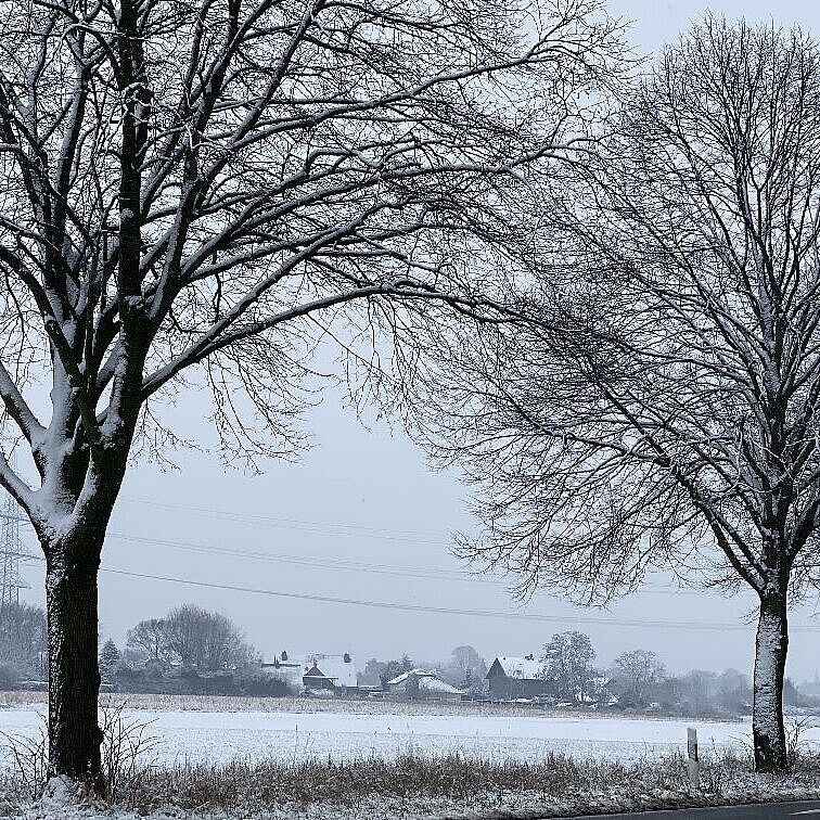 KW05-26_wb03_Vennekenhof