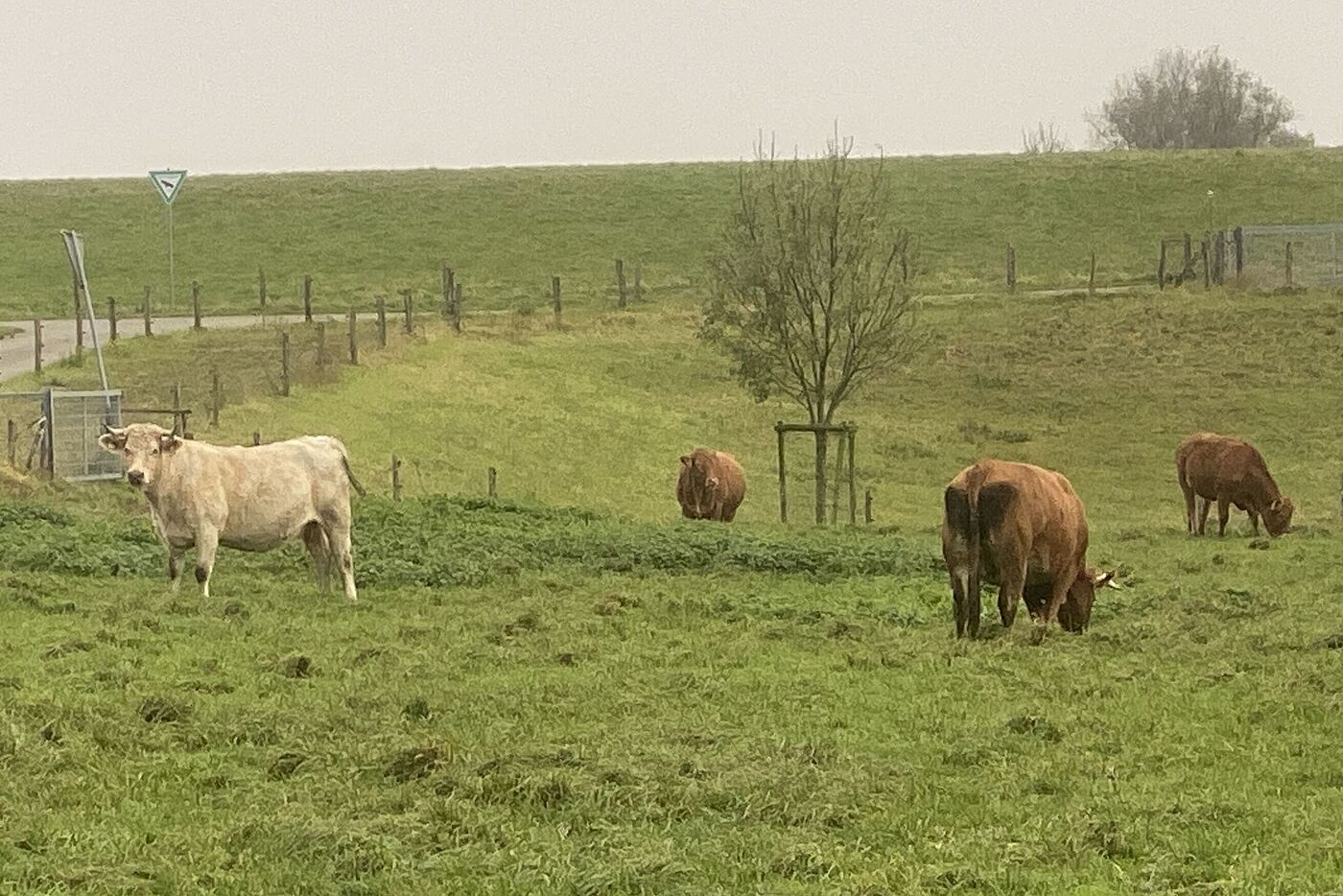 Pause bei Büderich