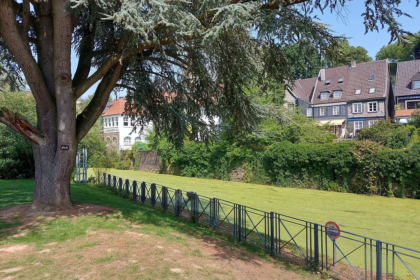 KW33-25_hr08_Kettwig_Baldeneysee
