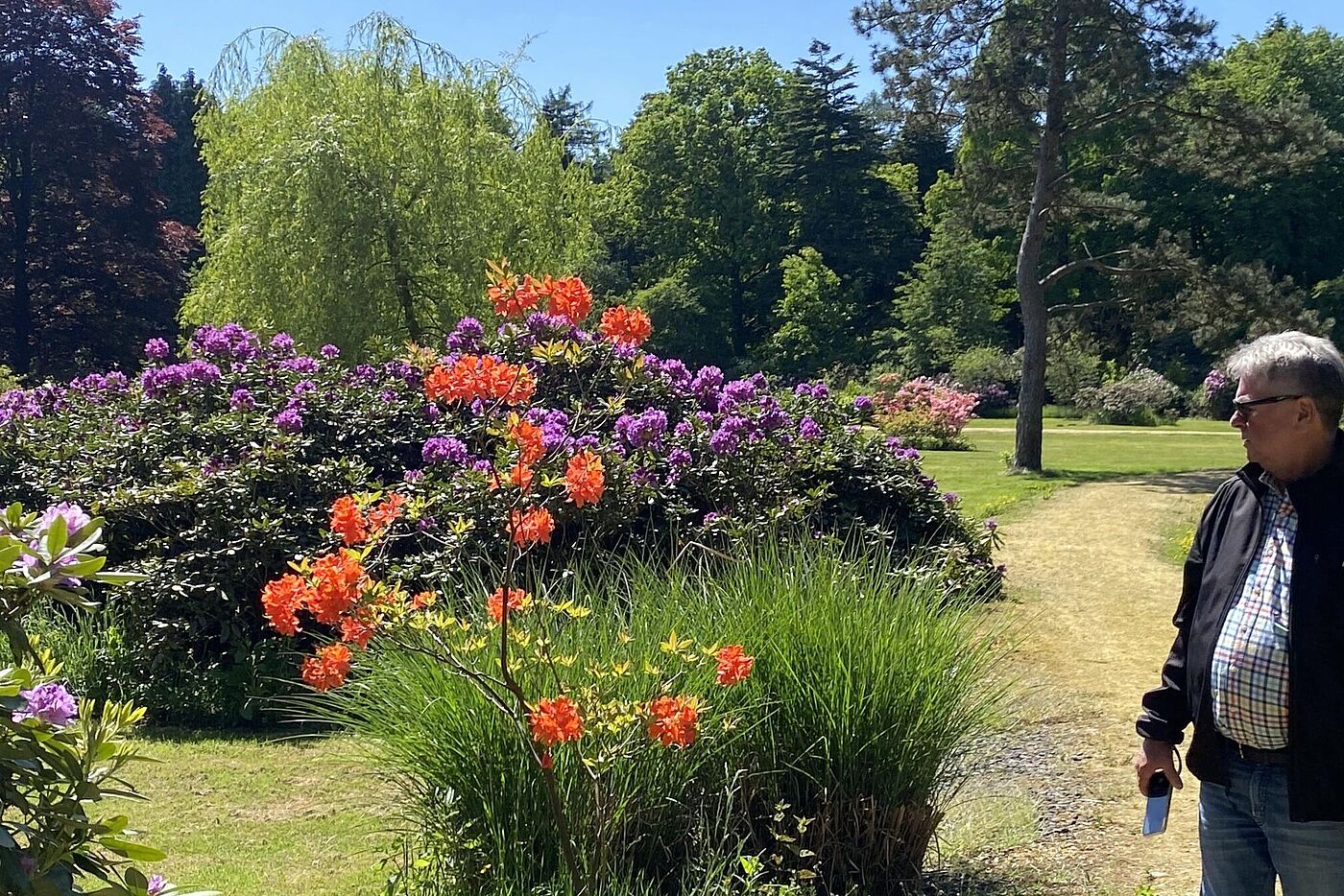 KW20-25_wb30_Schloss_Lembeck_mit_Rhododendronbluete