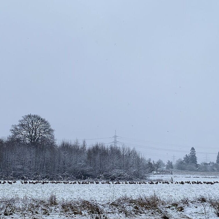 KW05-26_wb02_Vennekenhof