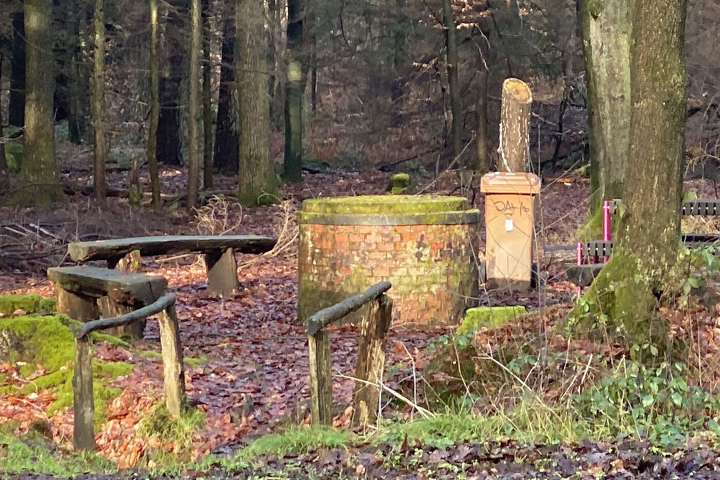 KW04-25 WB05 Dämmerwald