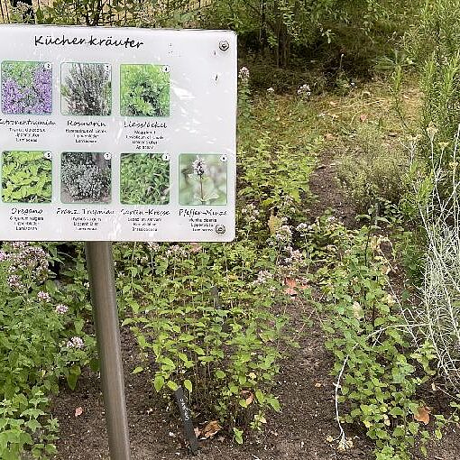 KW29-26_Gladbeck_mit_Kneipp-Garten_hdh06 KW29-26_Gladbeck_mit_Kneipp-Garten_hdh06