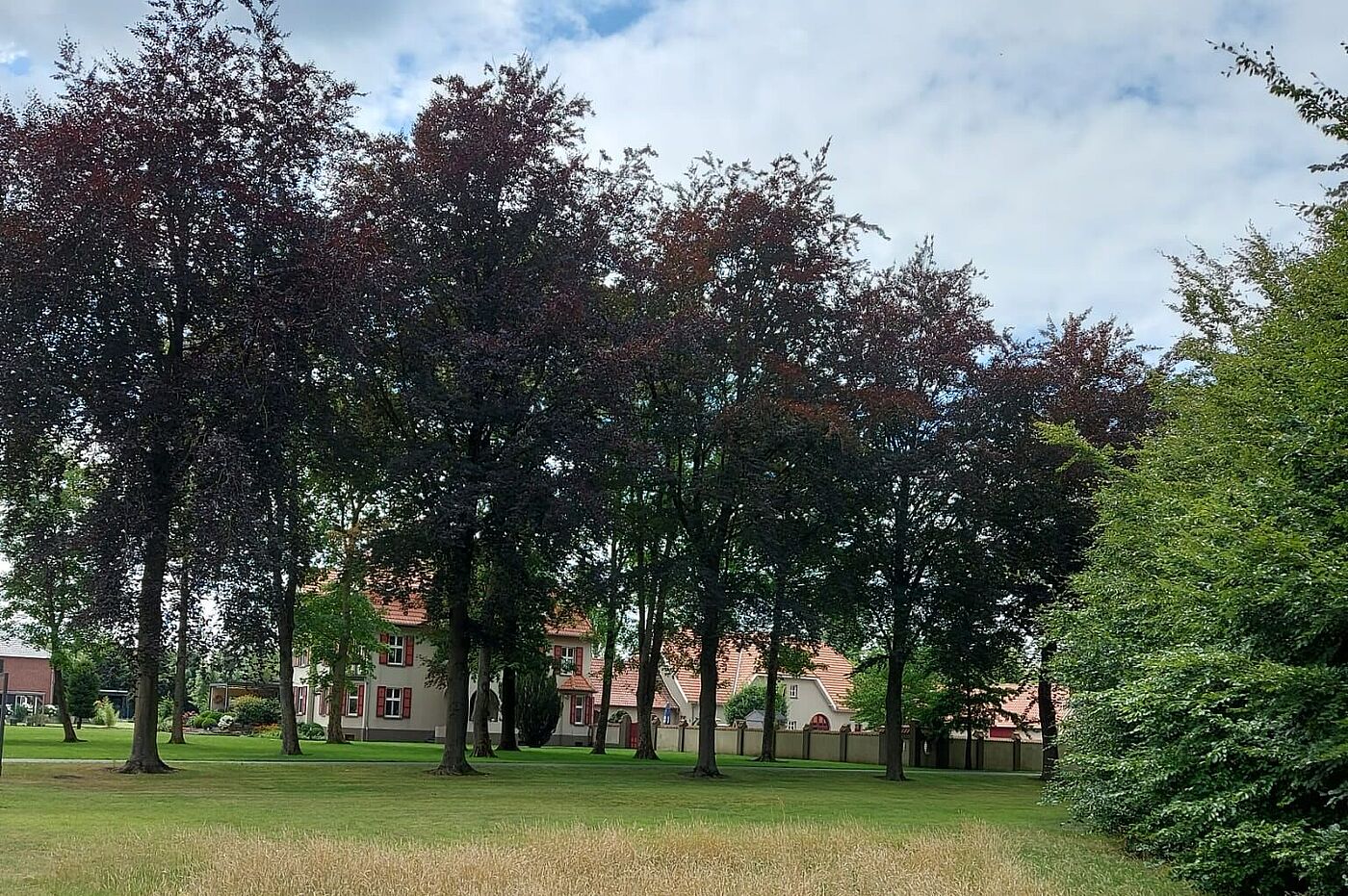 KW29-25_hr05_Tesings-Hof_und_Luelerheim