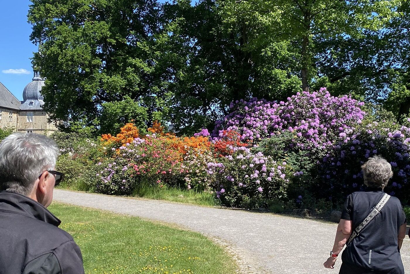 KW20-25_wb32_Schloss_Lembeck_mit_Rhododendronbluete