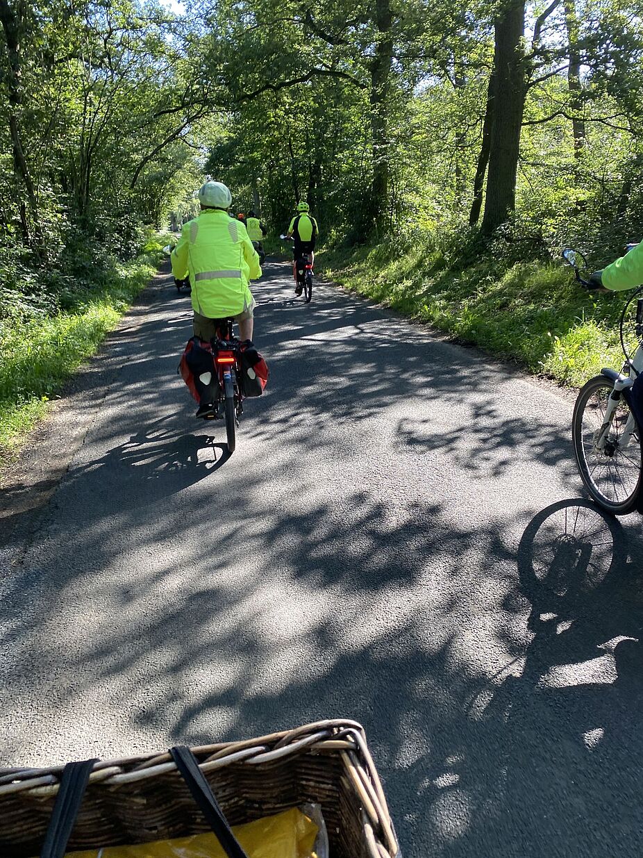 KW32 Erle 02 Auf in Richtung Testerberge! Auf in Richtung Testerberge!