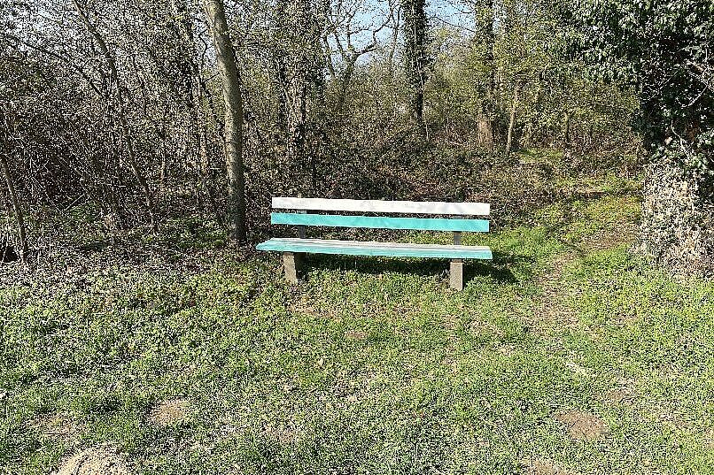 KW12-26_Kloster-Kamp_wb14