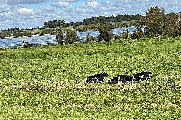 KW40-24 47 Auenland - Den Rhein erfahren