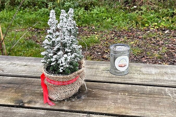 KW50-25_ek02_Grafenmuehle