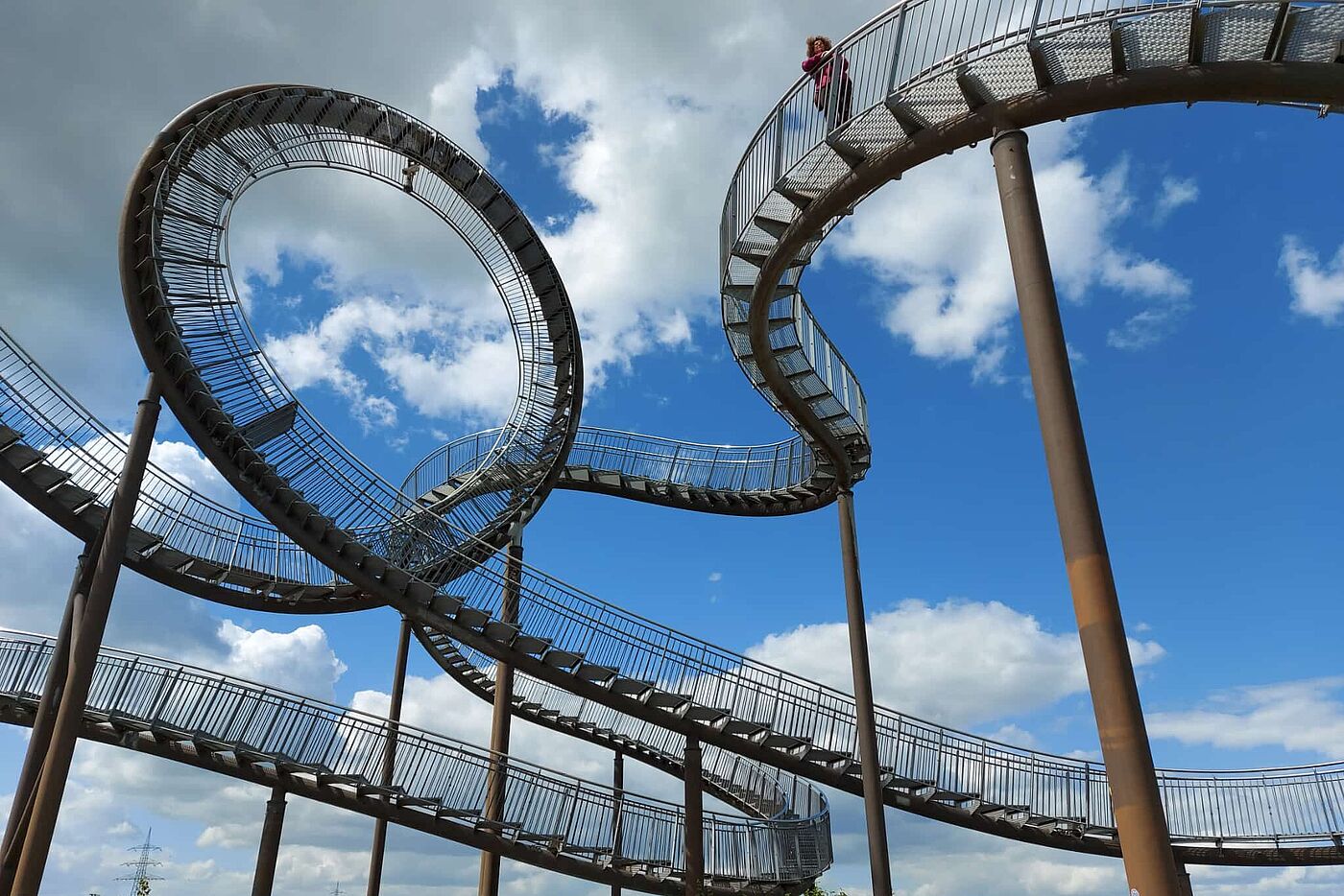 KW21-25_hr09_Tiger_and_Turtle