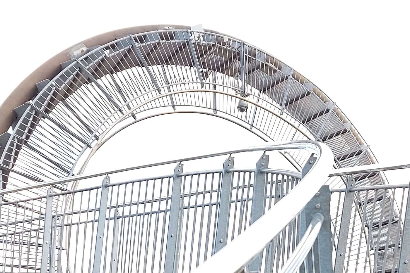 KW21-25_hr08_Tiger_and_Turtle