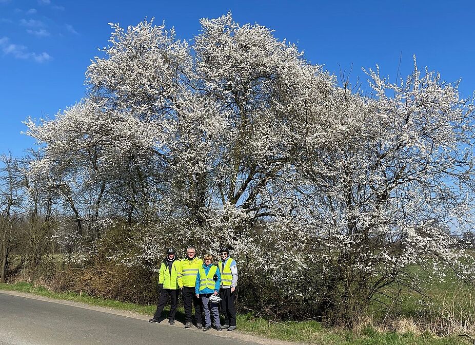 KW11_HDH01_Schloss_Ringenberg KW11_HDH01_Schloss_Ringenberg