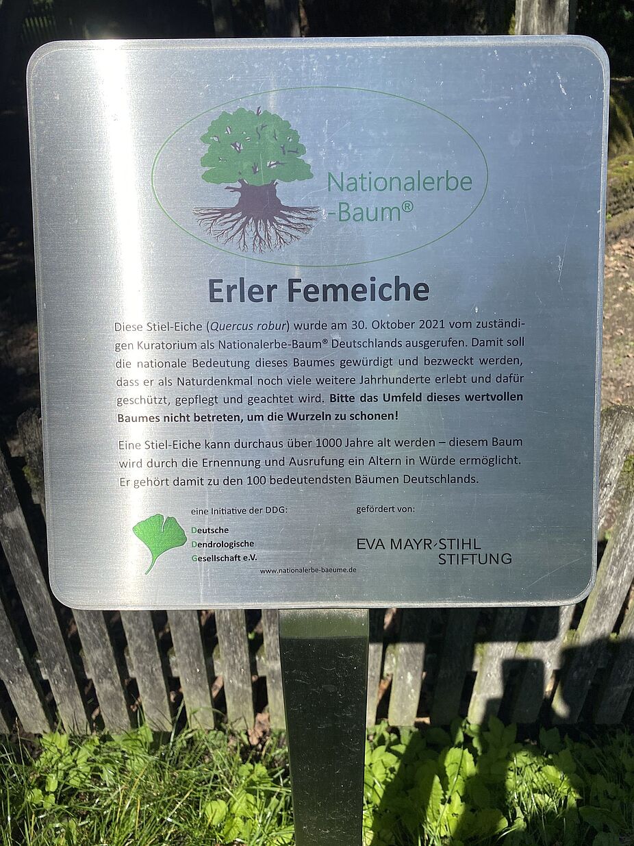 KW32 Erle 10 Bemerkungen zur Femeiche Hinweisschild mit Bemerkungen zur Femeiche