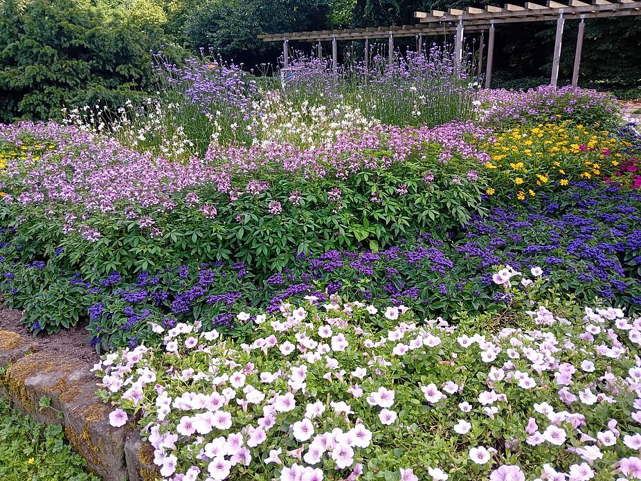 KW28-24_Kloster-Saarn_11 KW28-24_Kloster-Saarn_11